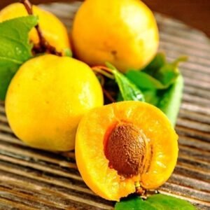 kashmiri dried Apricots,1/2 Kg - Image 1