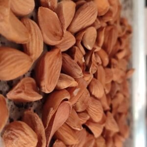 Kashmiri Almonds Mamra, 1Kg - Image 4