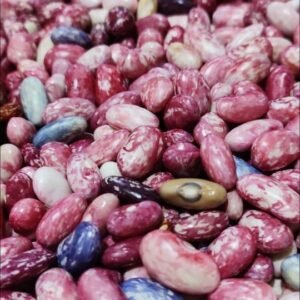 Kashmiri Pulses, 1Kg - Image 3