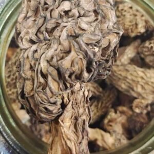 Marchilla Wild Mashroom, 1Kg - Image 1
